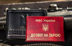 Глава МВД: Получить разрешение на оружие стало проще