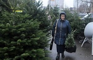 В Украине начали продавать новогодние елки