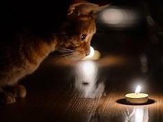 Украинцев призывают готовиться к отключению света