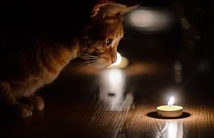 Украинцев призывают готовиться к отключению света