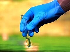 Список водоемов на территории области с холероподобным вибрионом